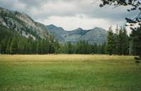 Grouse Meadow and the Palisades